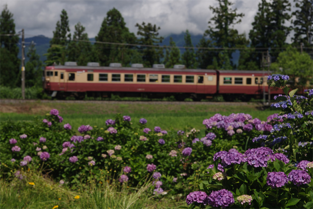 愛しの鋼鉄達の写真館~急行用電車 愛しの鋼鉄達の写真館~急行用電車