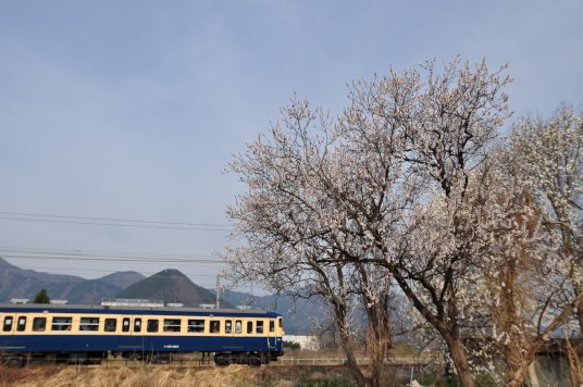 愛しの鋼鉄達の写真館